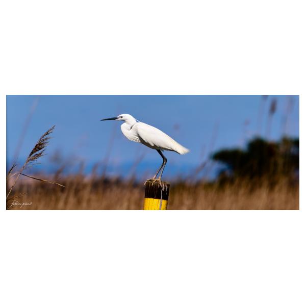 PHOTO84, CLUB, 84 , LUBERON